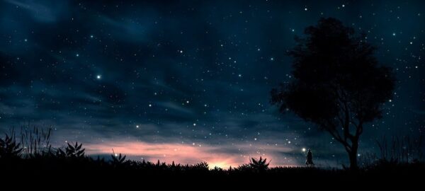 Peinture murale Ciel nocturne