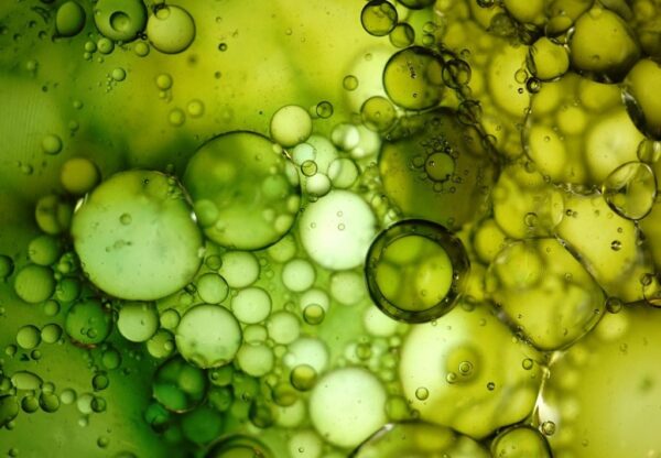 Peinture murale Bulles vertes