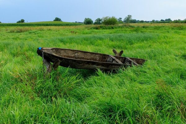 Peinture murale Un bateau dans le pré