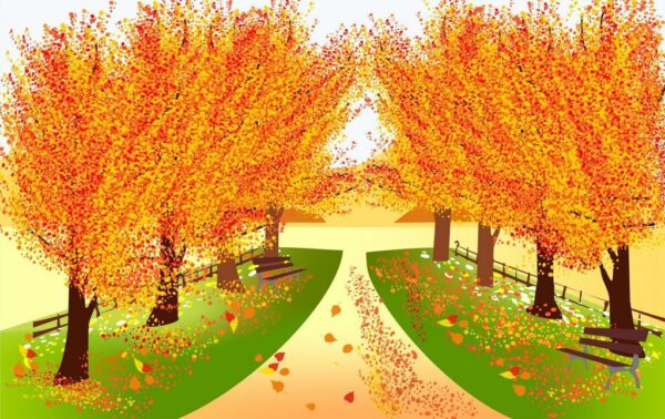 Sticker mural Arbres d'automne