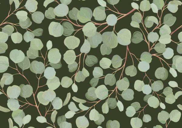Peinture murale Feuilles d'eucalyptus