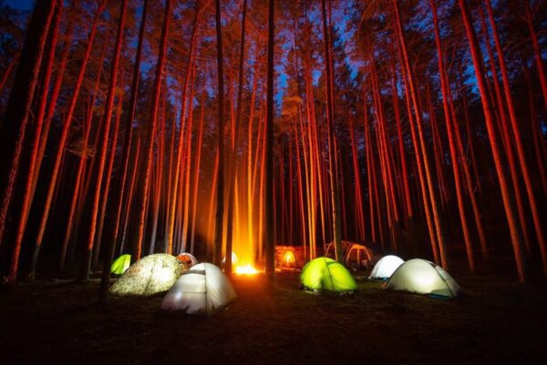 Peinture murale Camping dans la forêt