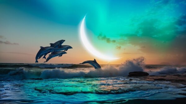Peinture murale Lune sur la mer