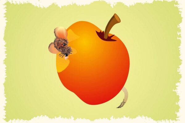 Peinture murale Souris dans la pomme
