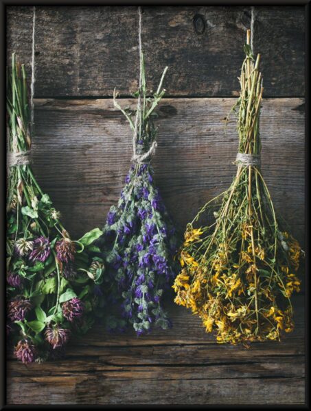 Couleurs de la nature Poster – Image 4
