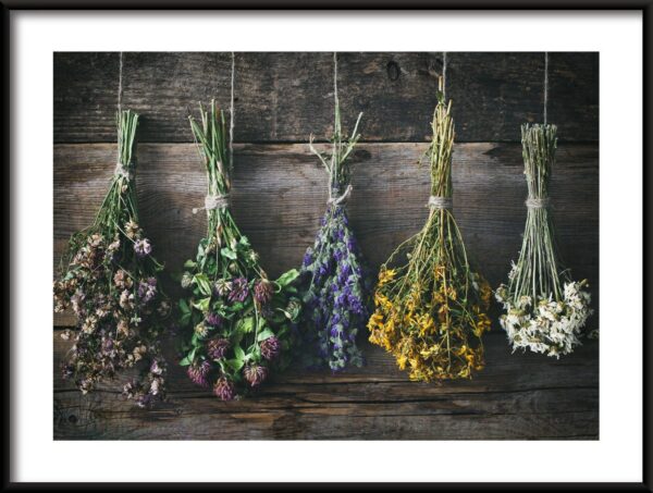 Couleurs de la nature Poster