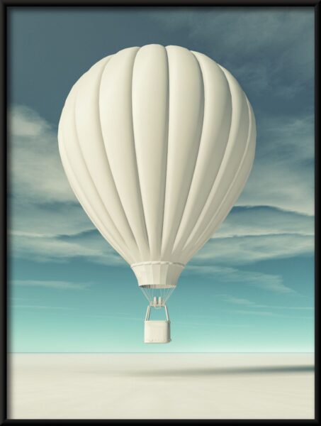 Vol blanc Poster – Image 4