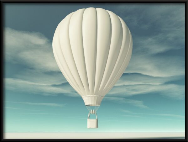 Vol blanc Poster – Image 2