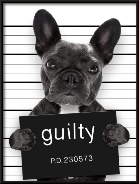 Affiche coupable – Image 2