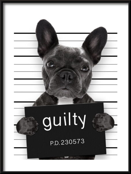 Affiche coupable
