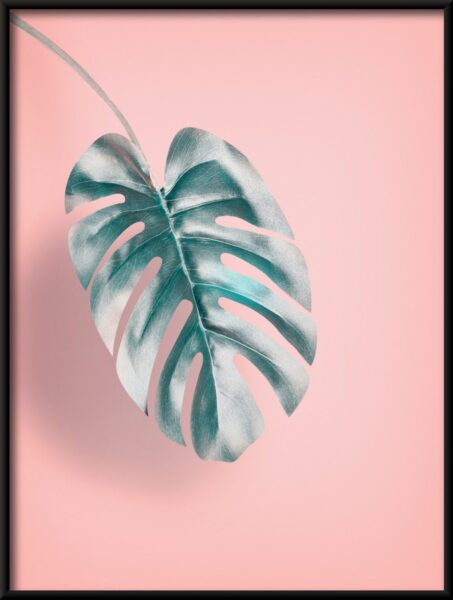 Feuille sur rose Poster – Image 2