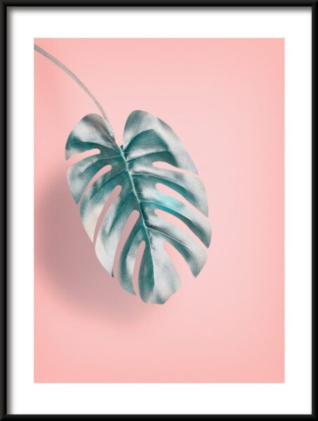 Feuille sur rose Poster