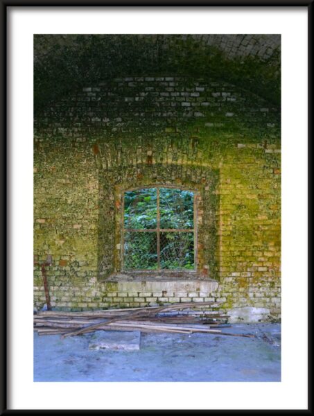 Fenêtre dans la Verdure – Image 3