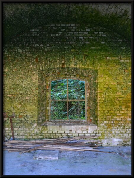 Fenêtre dans la Verdure – Image 4