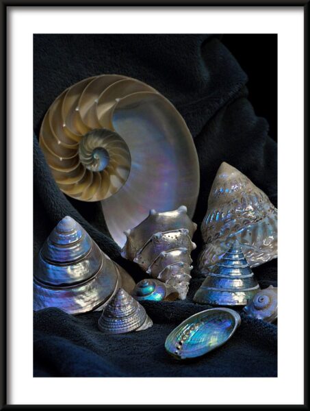 Coquilles d'argent Poster – Image 3