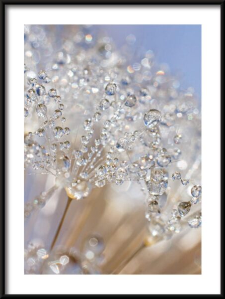 Fleurs de cristal Poster – Image 3