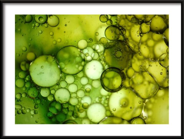 Bulles vertes Poster