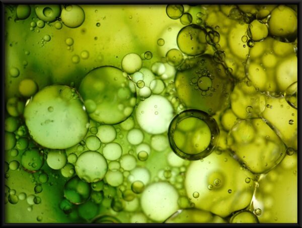 Bulles vertes Poster – Image 2