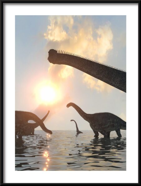 Affiche dinosaures au soleil – Image 3