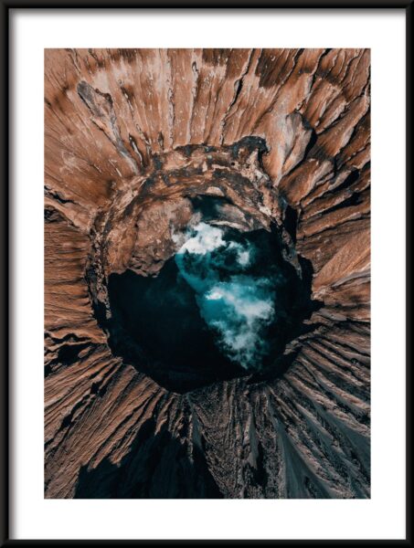 Fenêtre dans un arbre – Image 3
