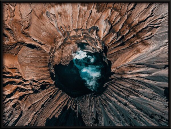 Fenêtre dans un arbre – Image 2