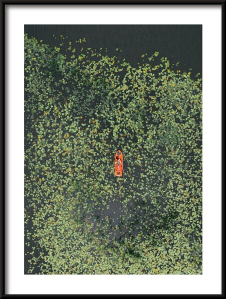 Bateau dans la Verdure – Image 3