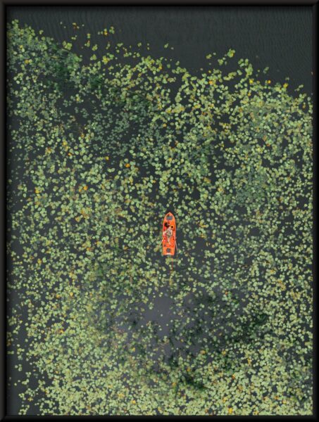 Bateau dans la Verdure – Image 4