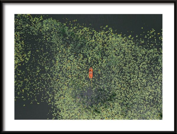Bateau dans la Verdure