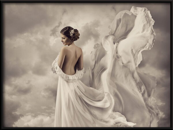 Robe ailée Poster – Image 2