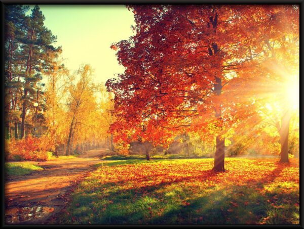 Affiche Au soleil d'automne. – Image 2