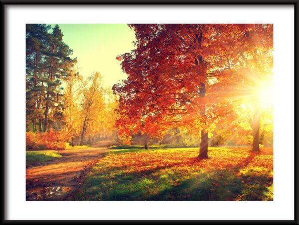 Affiche Au soleil d'automne.