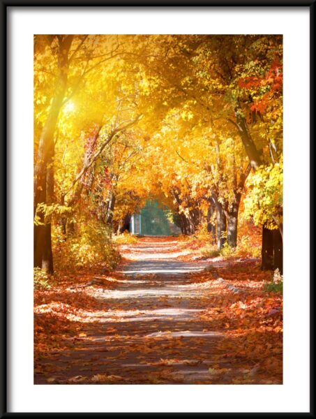 Chemin d'automne Poster – Image 3