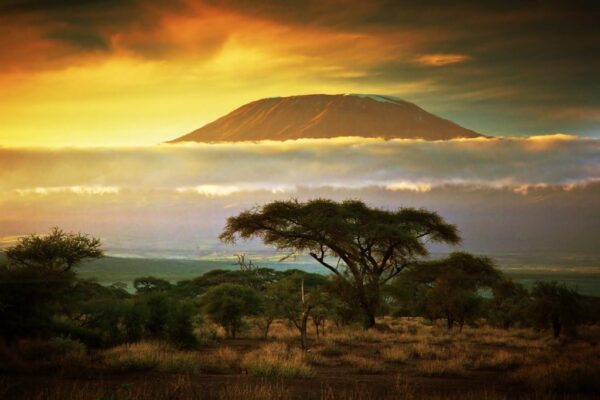 Poster XXL Mont Kilimandjaro