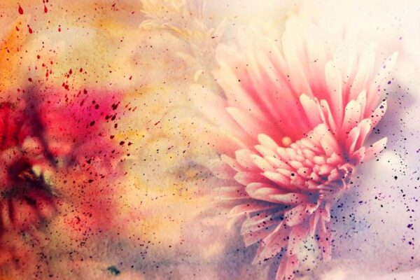 Peinture murale Fleur de dahlia