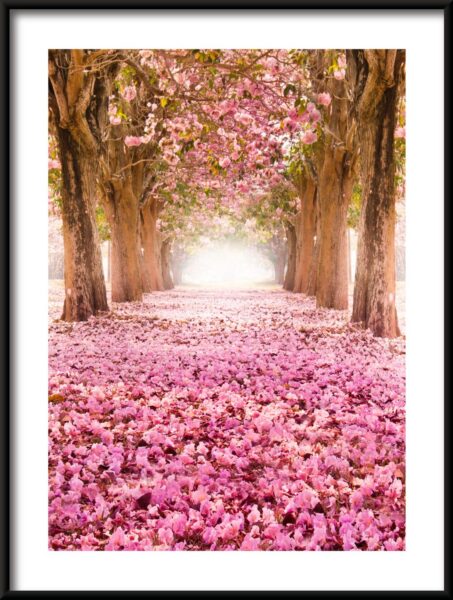 Allée des fleurs Poster – Image 3