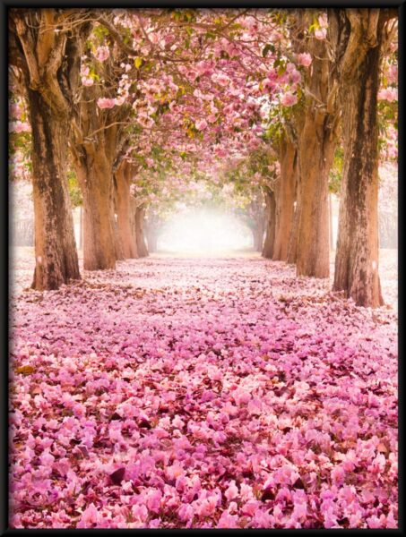 Allée des fleurs Poster – Image 4