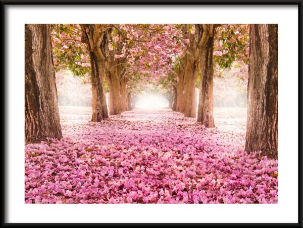 Allée des fleurs Poster
