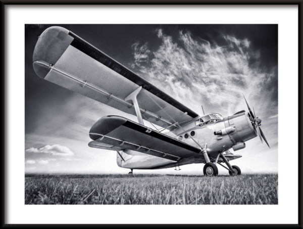 Avion tsar Poster