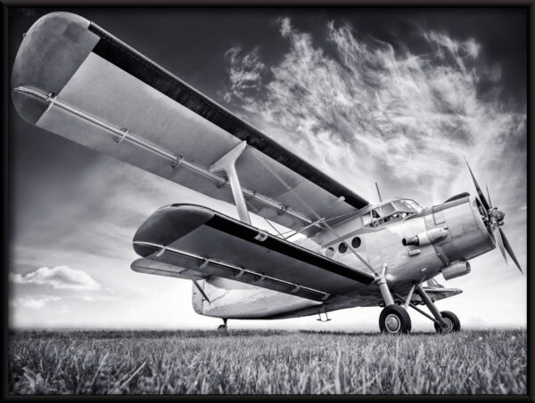 Avion tsar Poster – Image 2