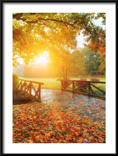 Pont d'automne Poster – Image 3