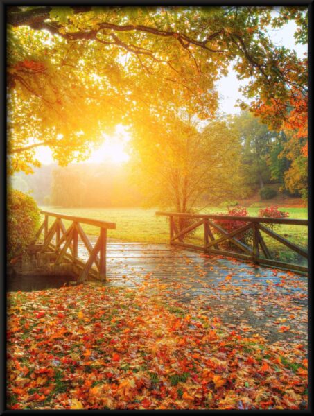 Pont d'automne Poster – Image 4