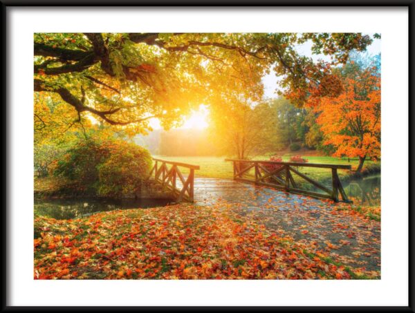Pont d'automne Poster