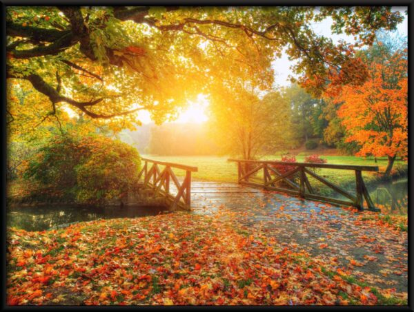 Pont d'automne Poster – Image 2