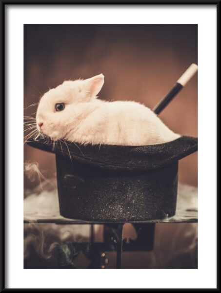 Affiche Lapin au chapeau – Image 3