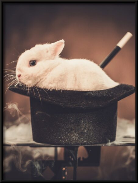 Affiche Lapin au chapeau – Image 4