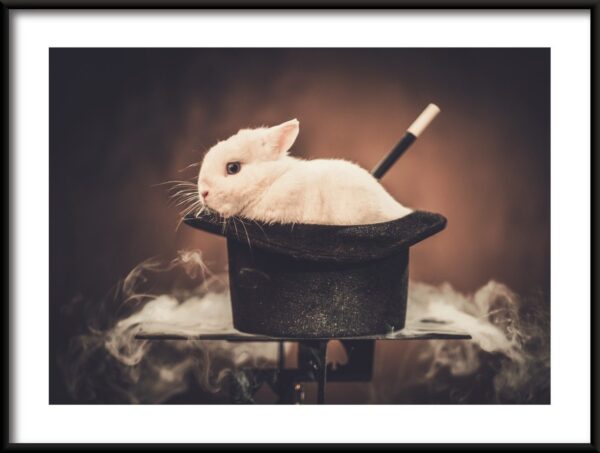 Affiche Lapin au chapeau