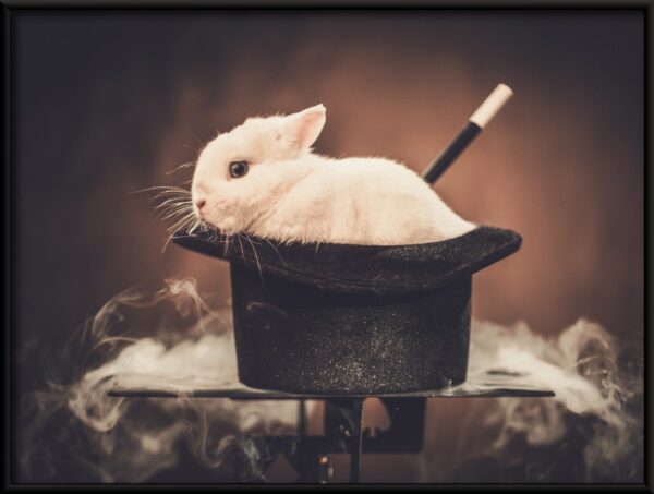 Affiche Lapin au chapeau – Image 2