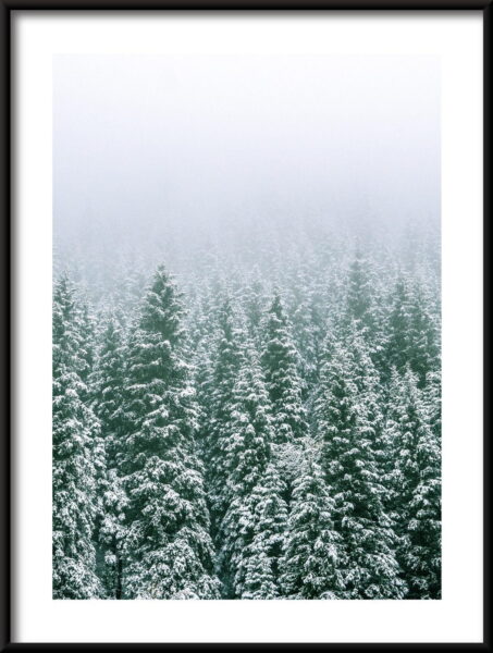 Affiche de la forêt d'hiver – Image 3