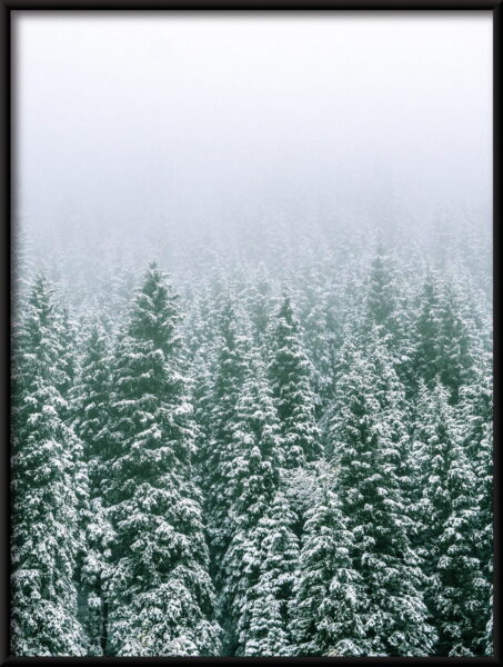 Affiche de la forêt d'hiver – Image 4
