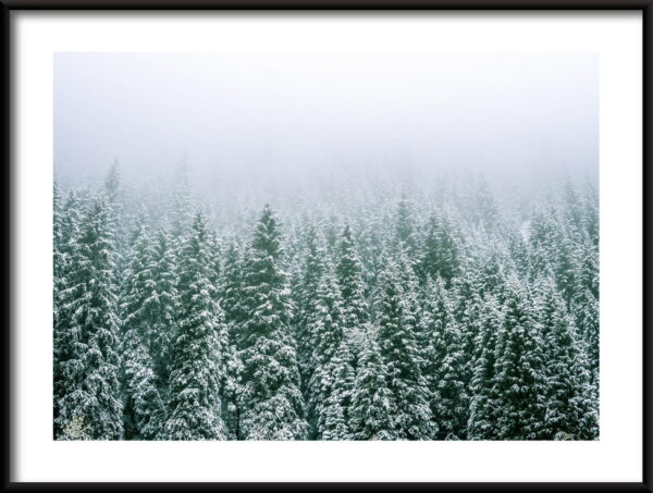 Affiche de la forêt d'hiver